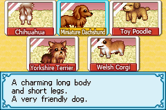 Dogz: Fashion